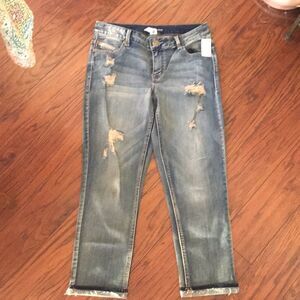 Maurices Distressed Medium Blue Cropped Jeans